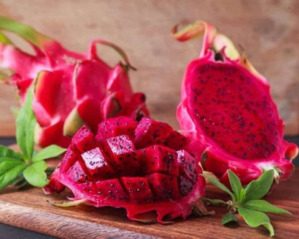 Red Meat Dragon Fruit Juicy Tropical - for planting in home garden